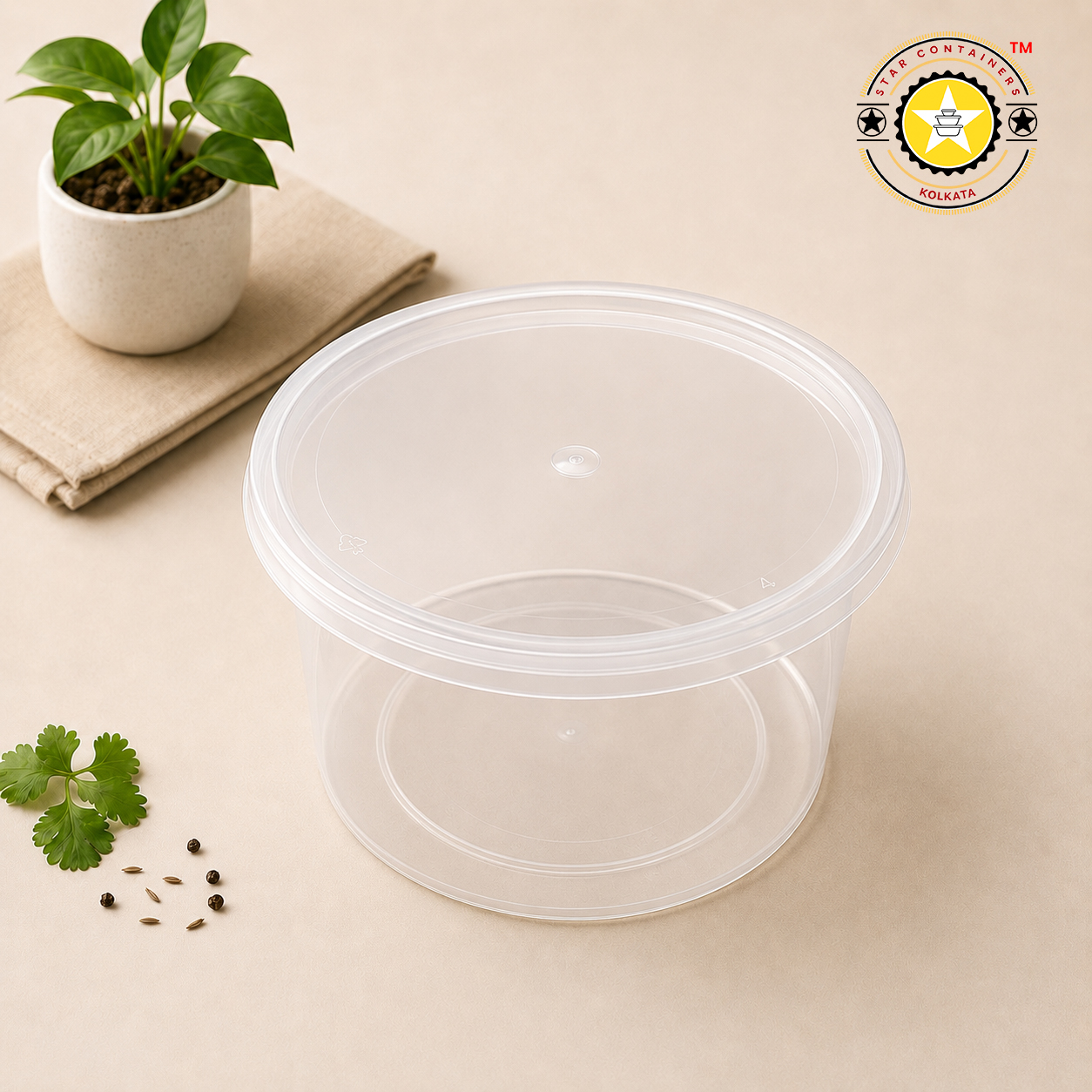 Transparent Container